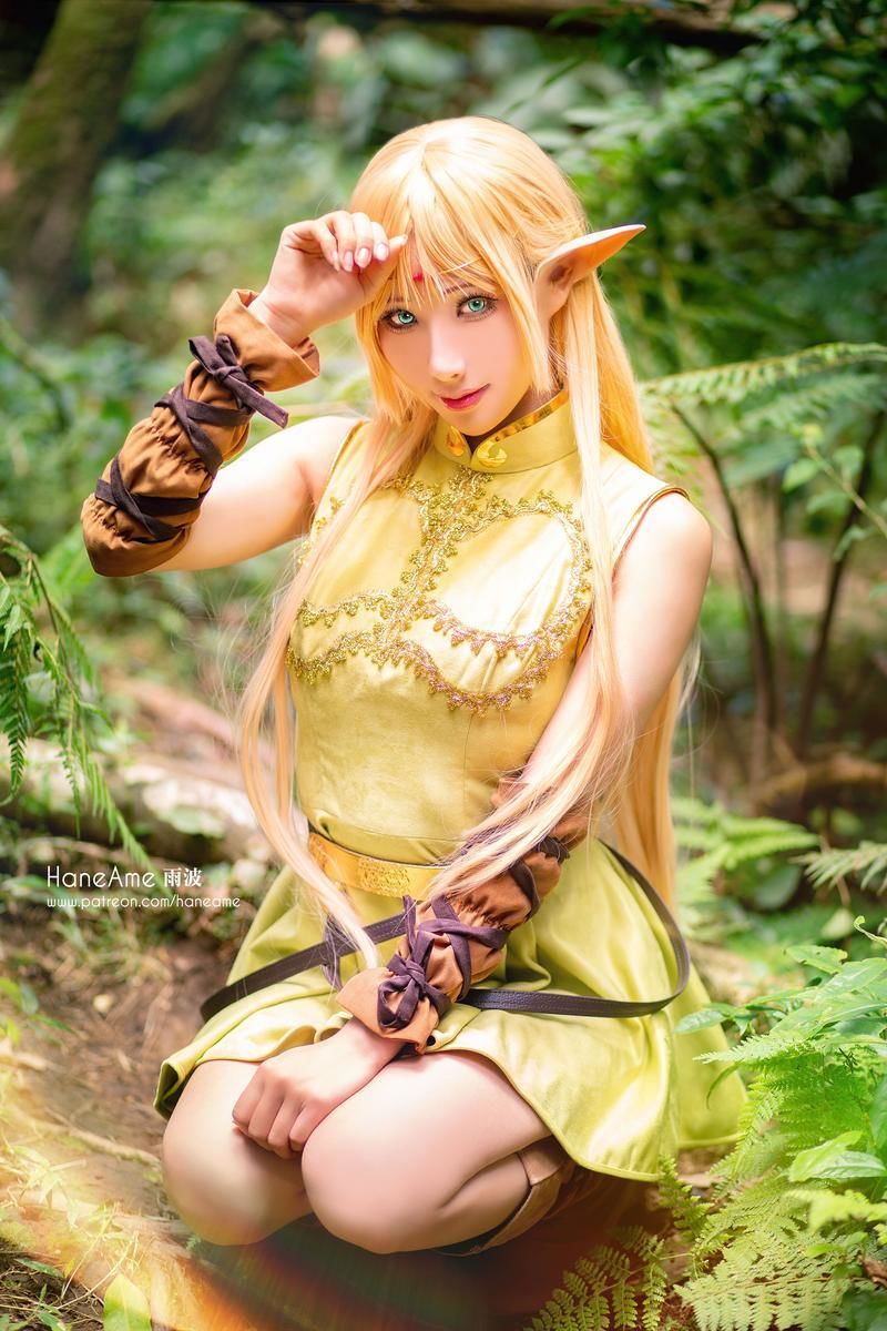 雨波_HaneAme No.035-Record of lodoss Deedlit [6P]