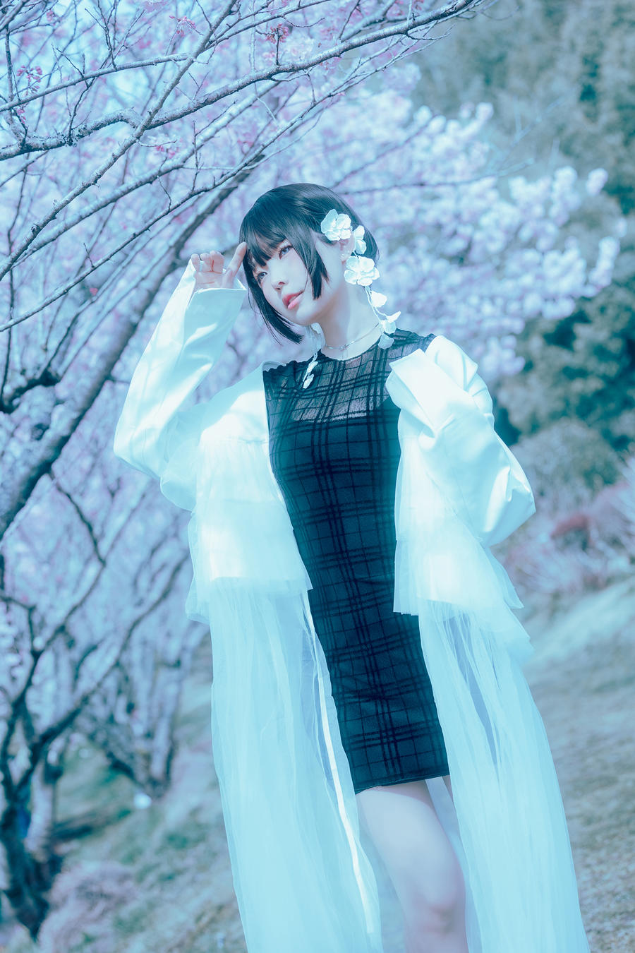 ElyEE子 No.099 – 2024年04月订阅 (3套) [113P 5V]