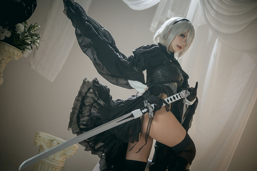 是一只熊仔吗 No.014-Nier 2B Dress Ver [6P]